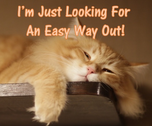 A very sleepy cat! The caption says I'm just looking for an easy way out!