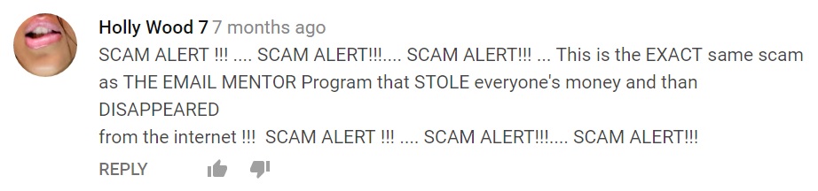 A comment from YouTube also saying that the GIM System is a scam!